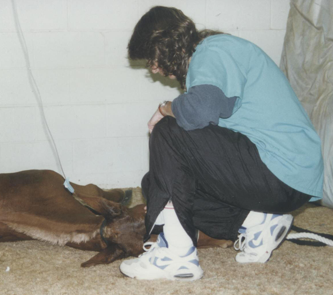 Dianne continues to monitor Cowboy's vital signs as he come out of sedation.