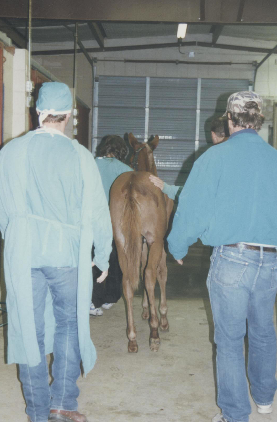 Cowboy heads for the trailer, no worse for the wear.